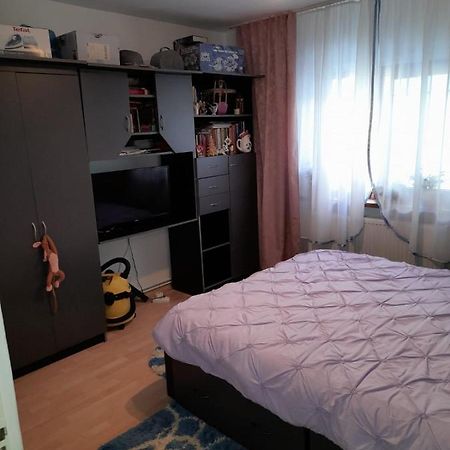 Apartament Straja - Lupény Kültér fotó