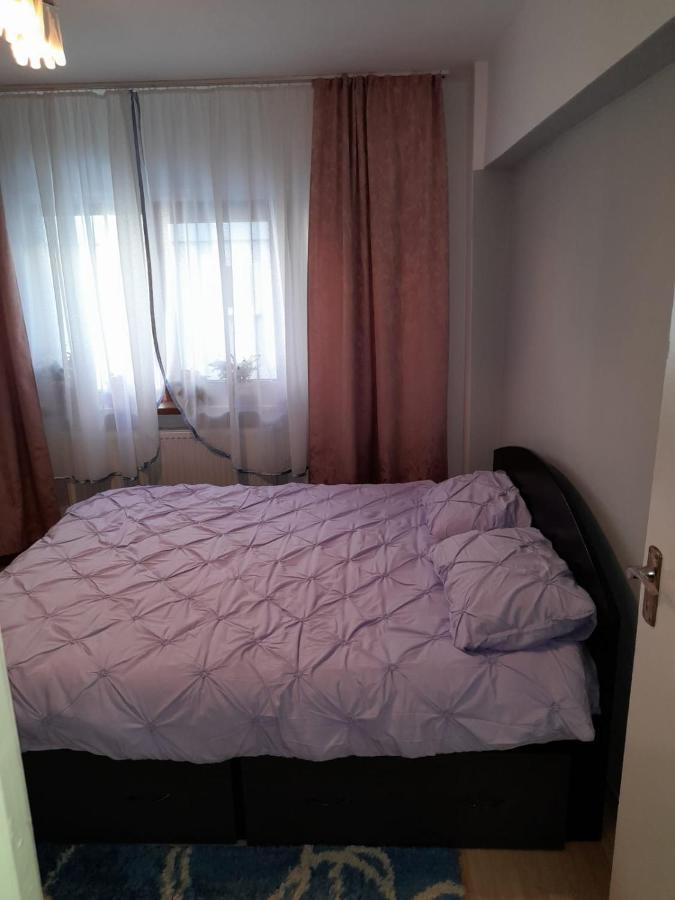 Apartament Straja - Lupény Kültér fotó